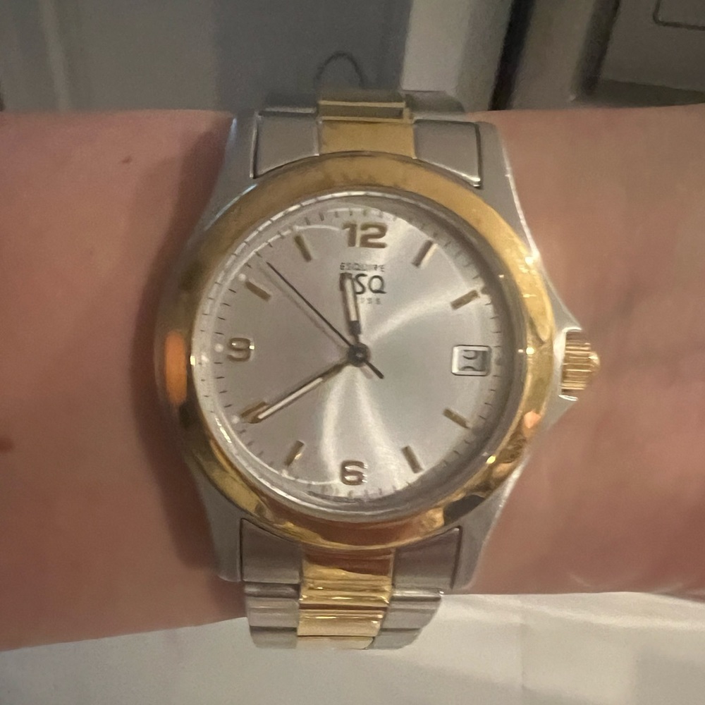ESQ men’s two-tone watch